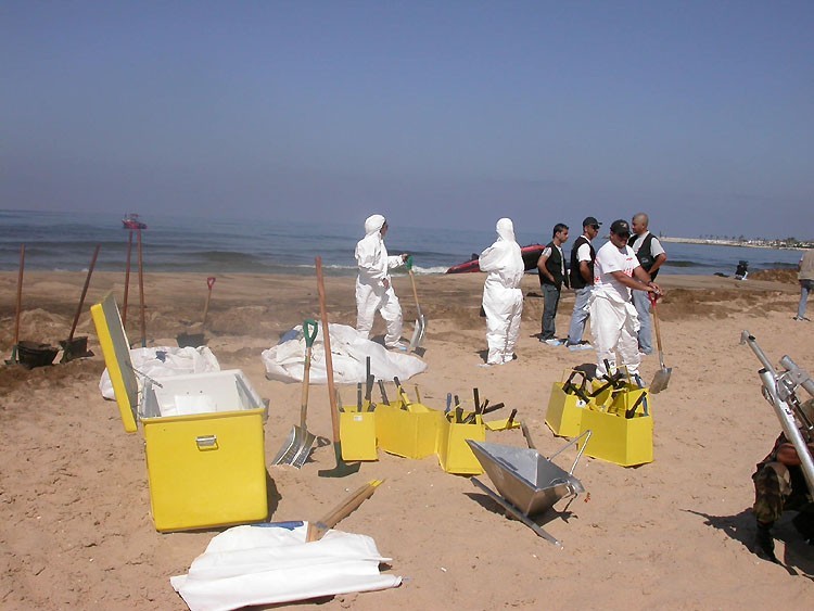 Volunteers Helping clean the shore