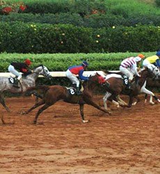 Beirut Hippodrome Lebanon Horse Racing